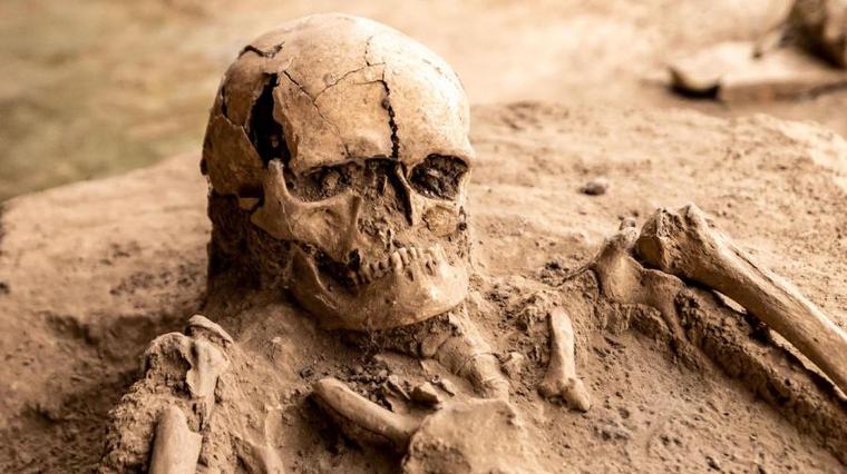 Molėtų rajone renovuojamas namas slėpė kraupią paslaptį: po grindimis rasti žmogaus kaulai