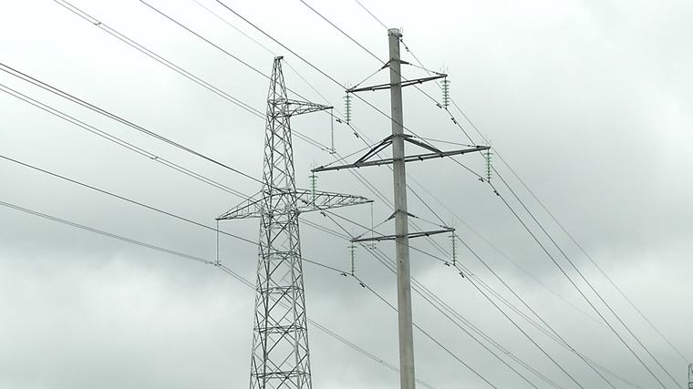 Ekspertė perspėja dėl elektros kainų